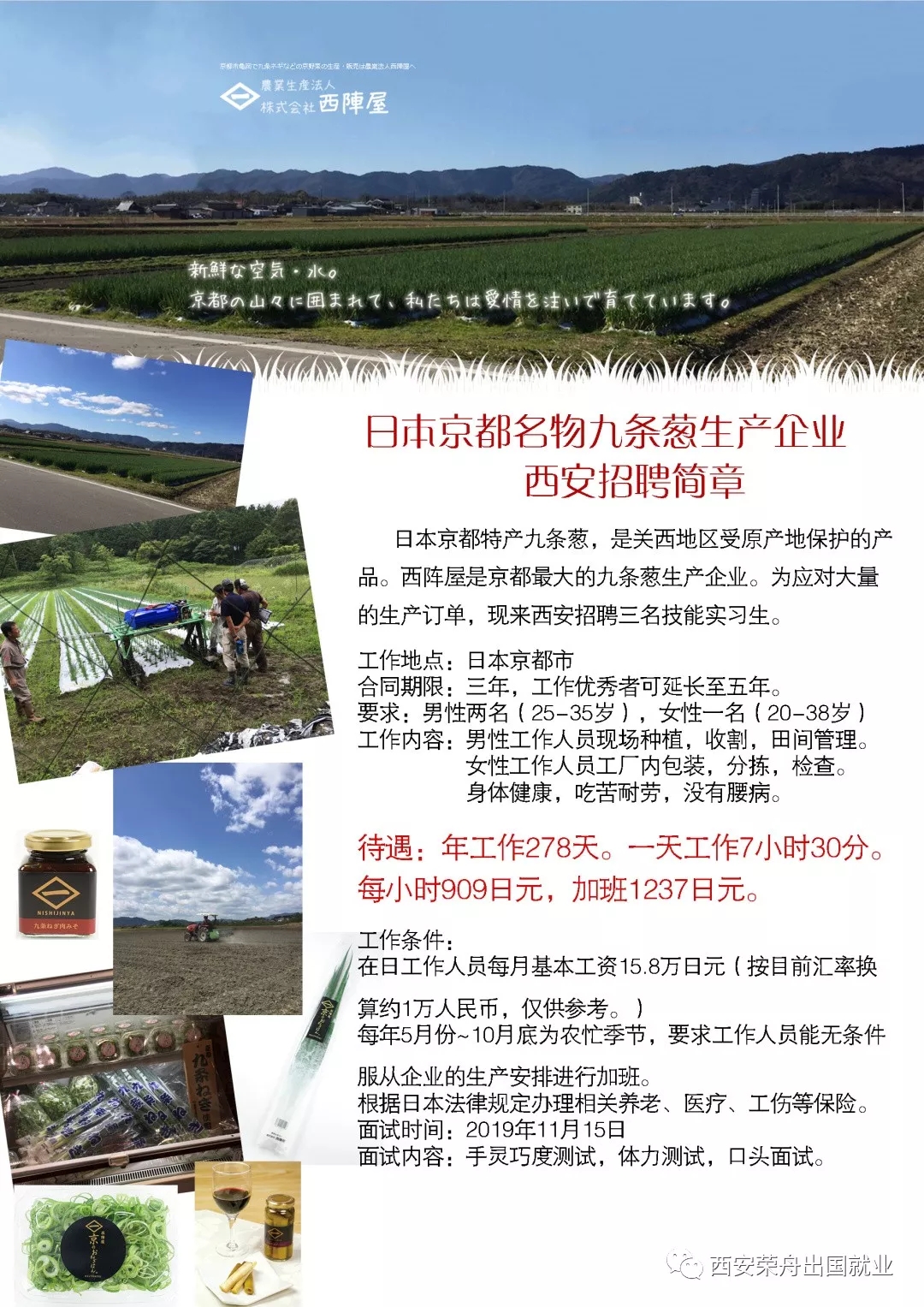 超优质项目-赴日本农业男女工